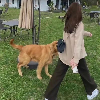 兔八哥斗士大电影